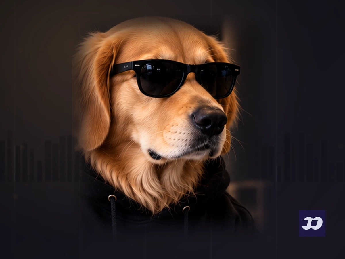 Close-up portrait of BossPaw in sunglasses